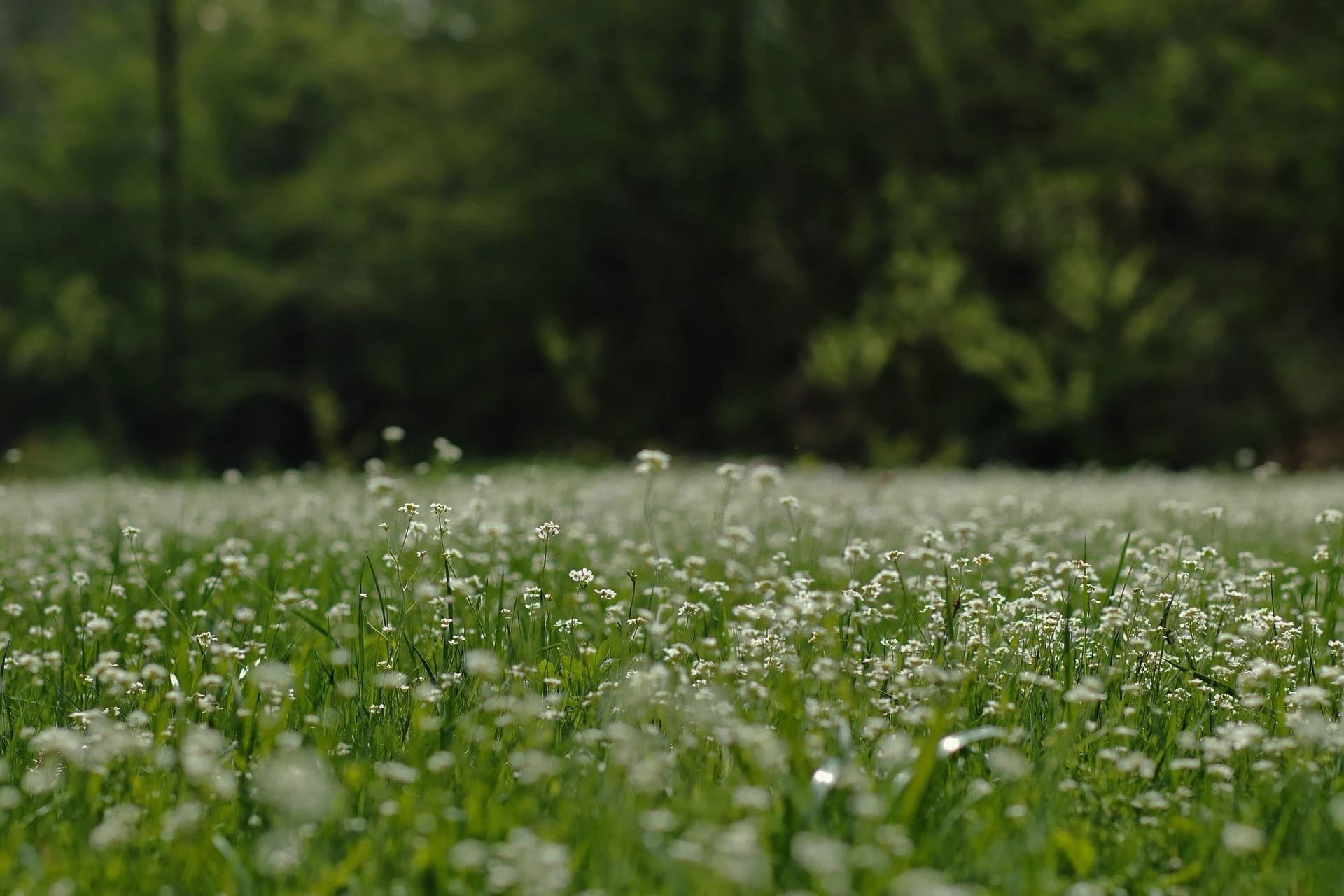 Botanica Four Seasons โ harmony with nature, four seasons concept